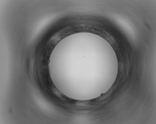 X0000114620526200910201004