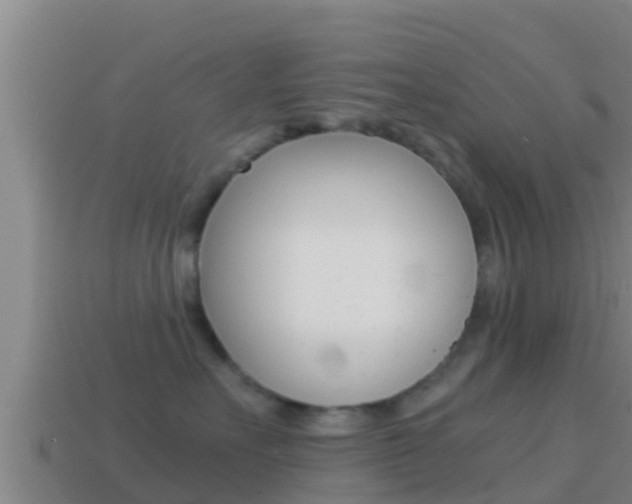 X0000114620527200910201004