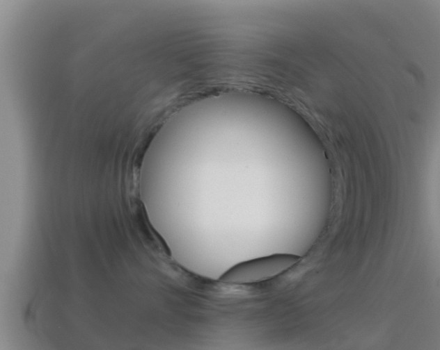 X0000114620528200910201004