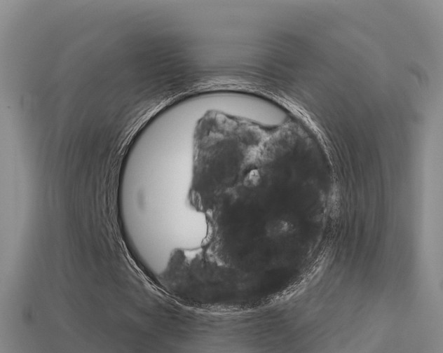 X0000114620529200910201003