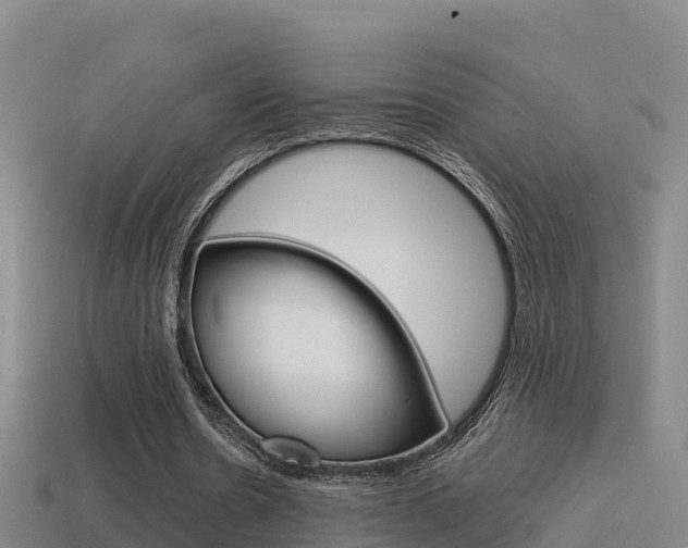 X0000114620530200910201003