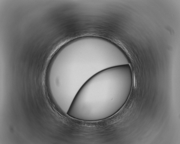 X0000114620531200910201003