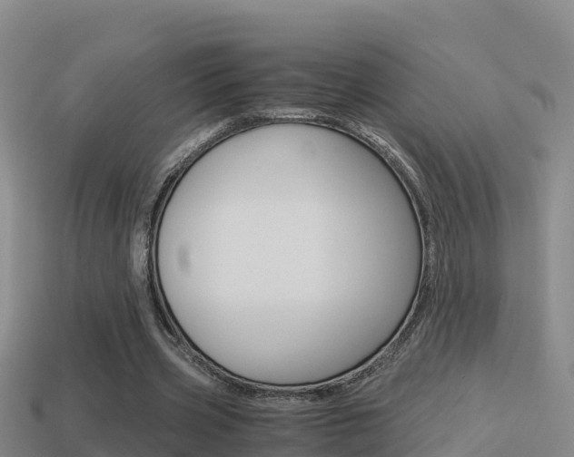 X0000114620533200910201003