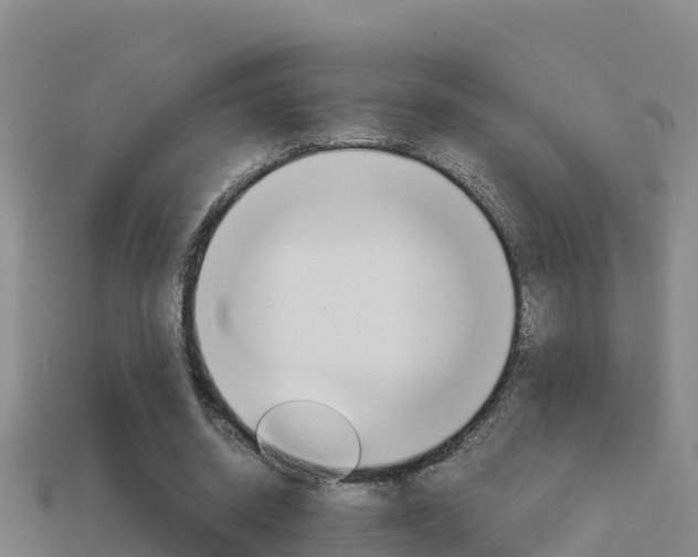 X0000114620534200910201003