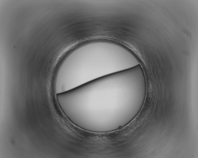 X0000114620535200910201003