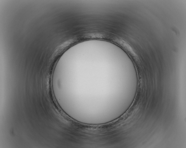 X0000114620537200910201003