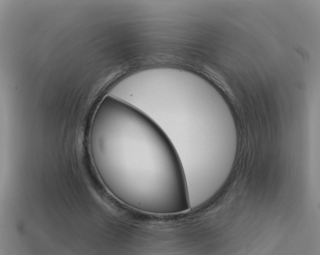 X0000114620538200910201003
