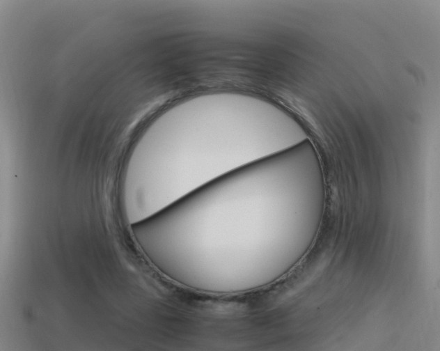 X0000114620539200910201003