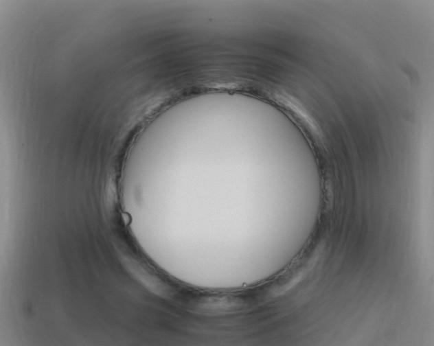 X0000114620541200910201003