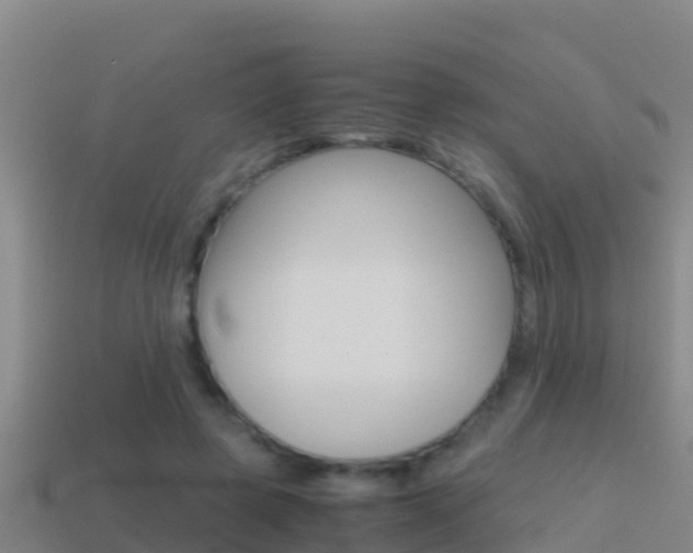 X0000114620545200910201003