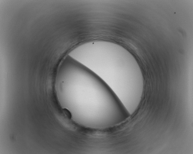 X0000114620546200910201003