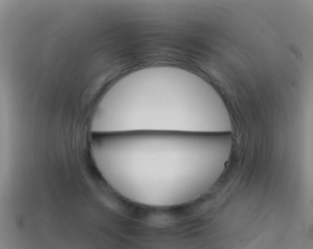 X0000114620547200910201003