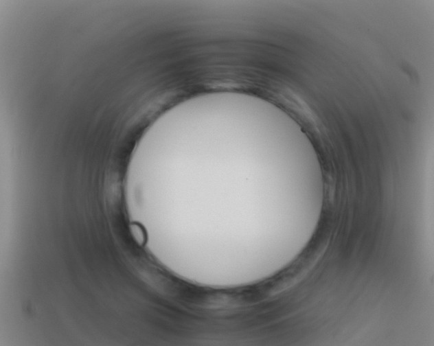 X0000114620549200910201003