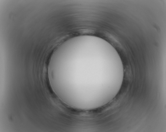 X0000114620550200910201003
