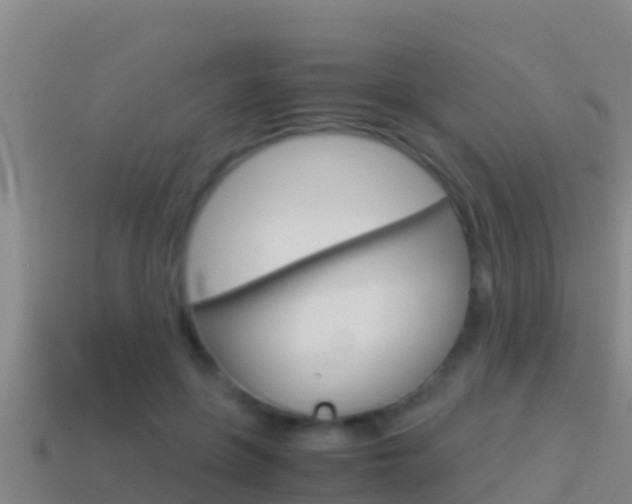 X0000114620551200910201004