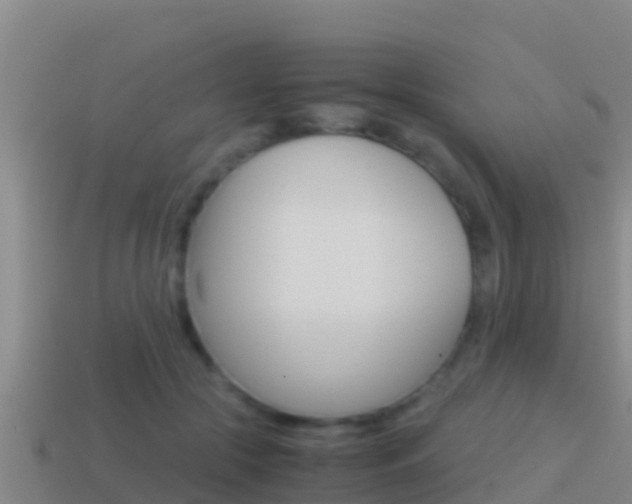 X0000114620553200910201004