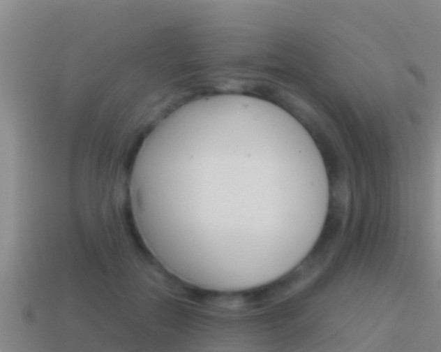 X0000114620554200910201004