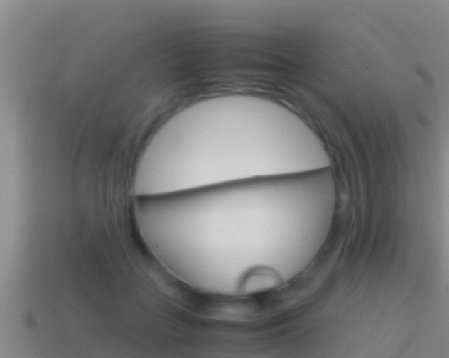 X0000114620555200910201004