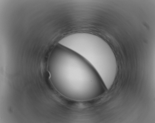 X0000114620558200910201004