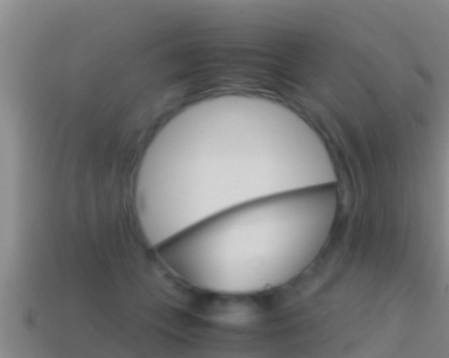 X0000114620559200910201004