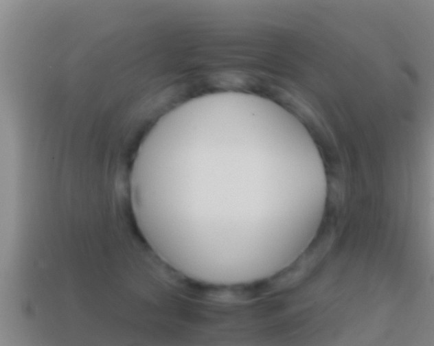 X0000114620561200910201004