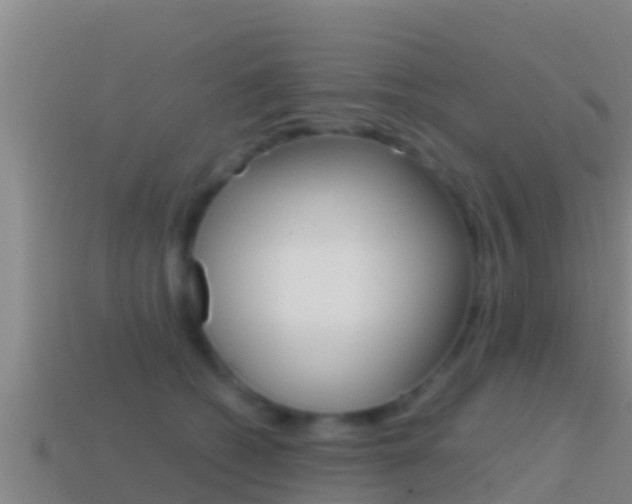 X0000114620562200910201004