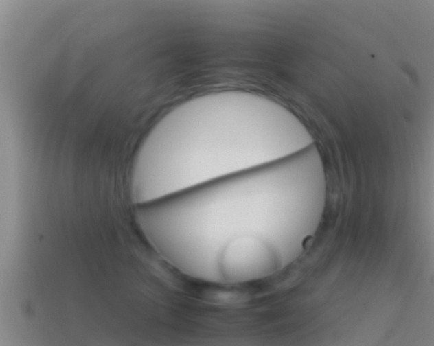 X0000114620563200910201004