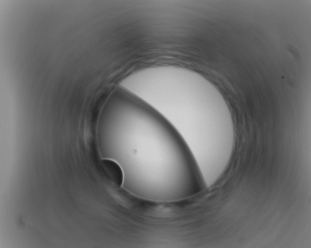 X0000114620566200910201004
