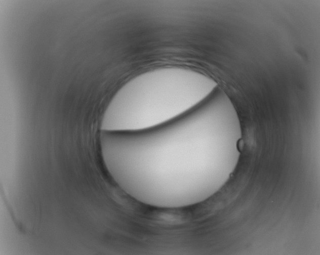 X0000114620567200910201004