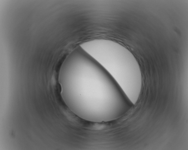 X0000114620570200910201004