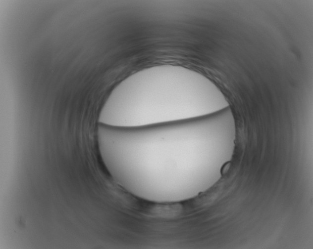X0000114620571200910201004