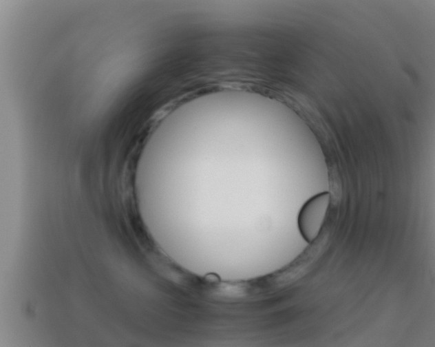 X0000114620573200910201004