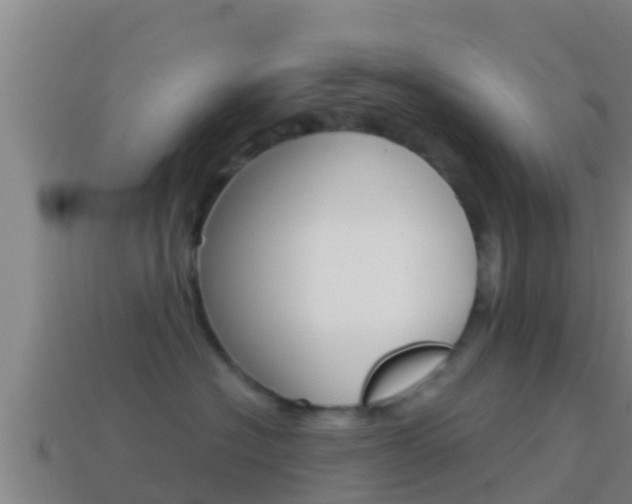 X0000114620574200910201004