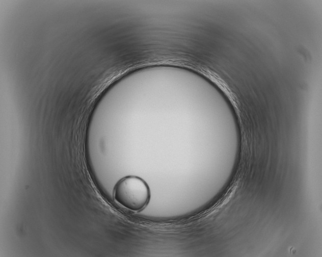 X0000114620577200910201003