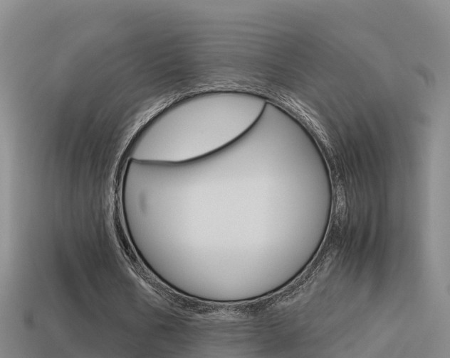 X0000114620578200910201003