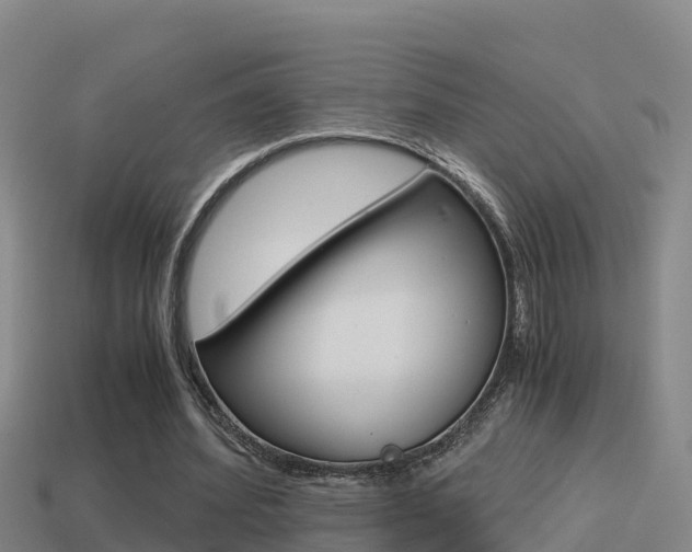 X0000114620580200910201003