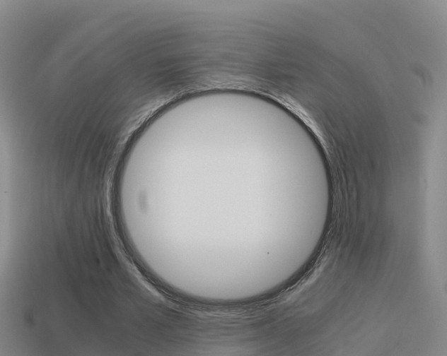 X0000114620581200910201003