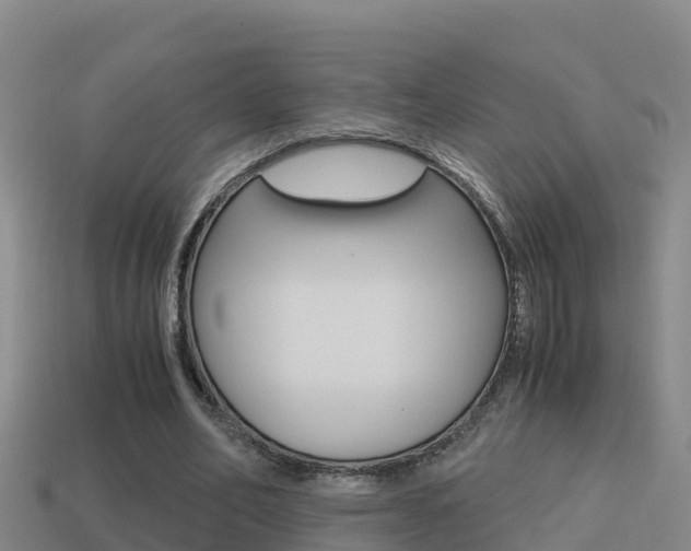 X0000114620582200910201003