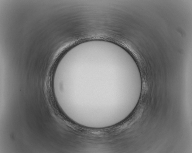X0000114620583200910201003