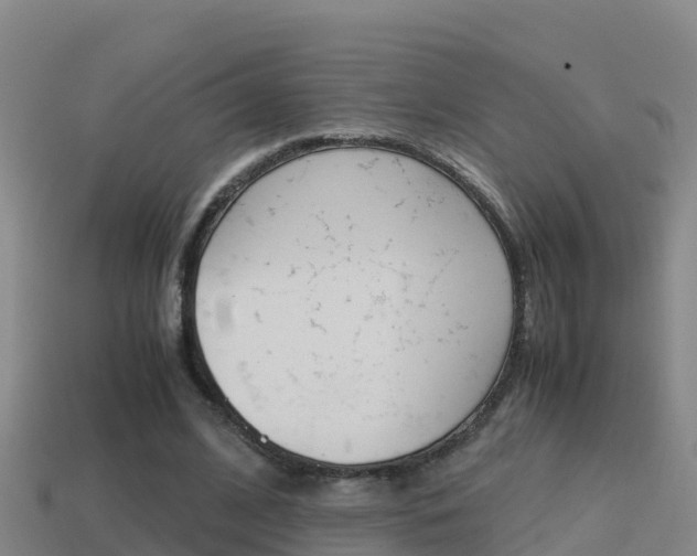X0000114620584200910201003