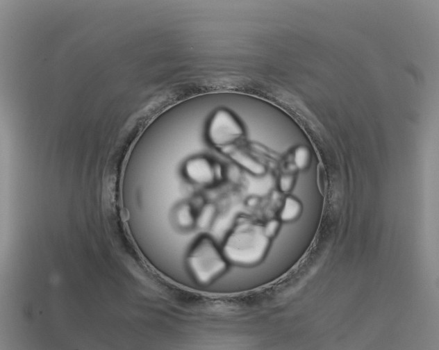 X0000114620585200910201003