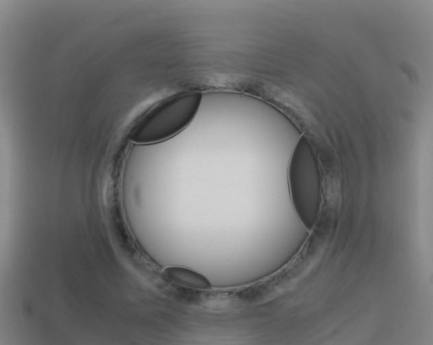 X0000114620587200910201003