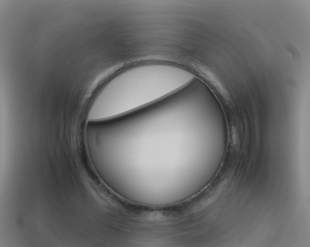 X0000114620588200910201003