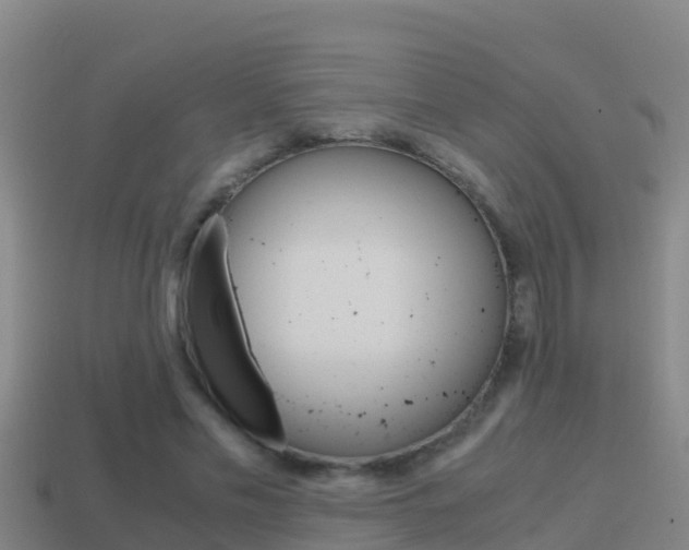 X0000114620589200910201003