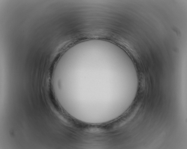 X0000114620590200910201003