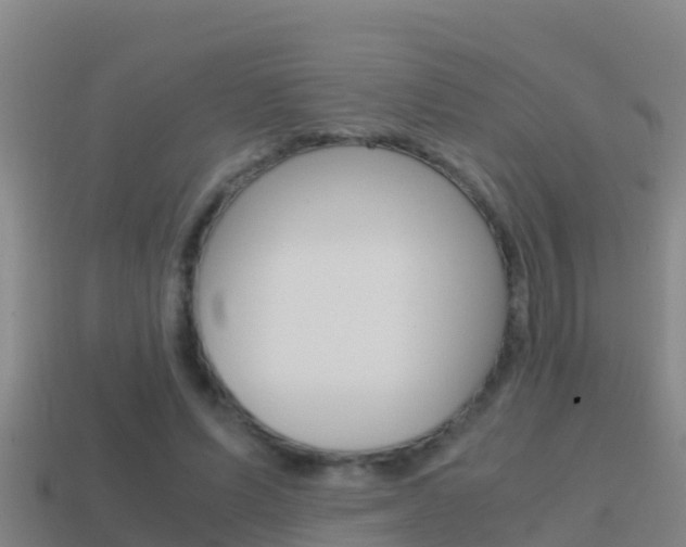 X0000114620591200910201003