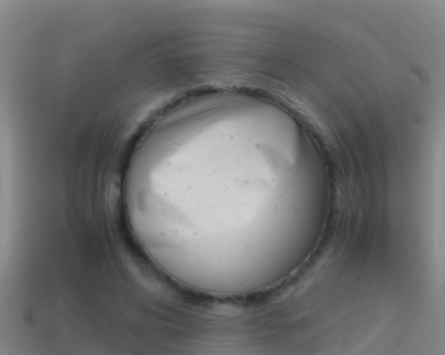 X0000114620592200910201003
