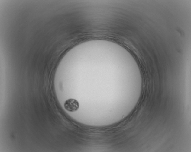 X0000114620593200910201003