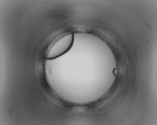 X0000114620595200910201003