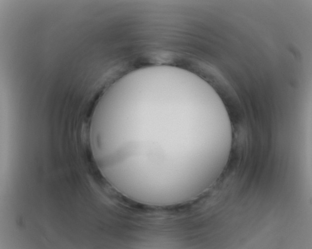 X0000114620598200910201003
